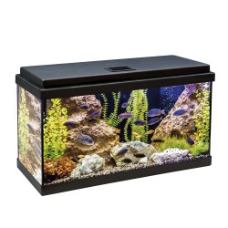 Kit AQUA-LED 60 con filtro...